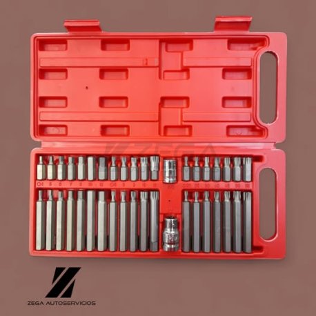 Kit maletin puntas torx x40 piezas.