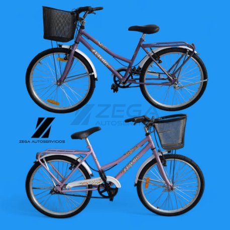 Bicicleta dama rodado 24.